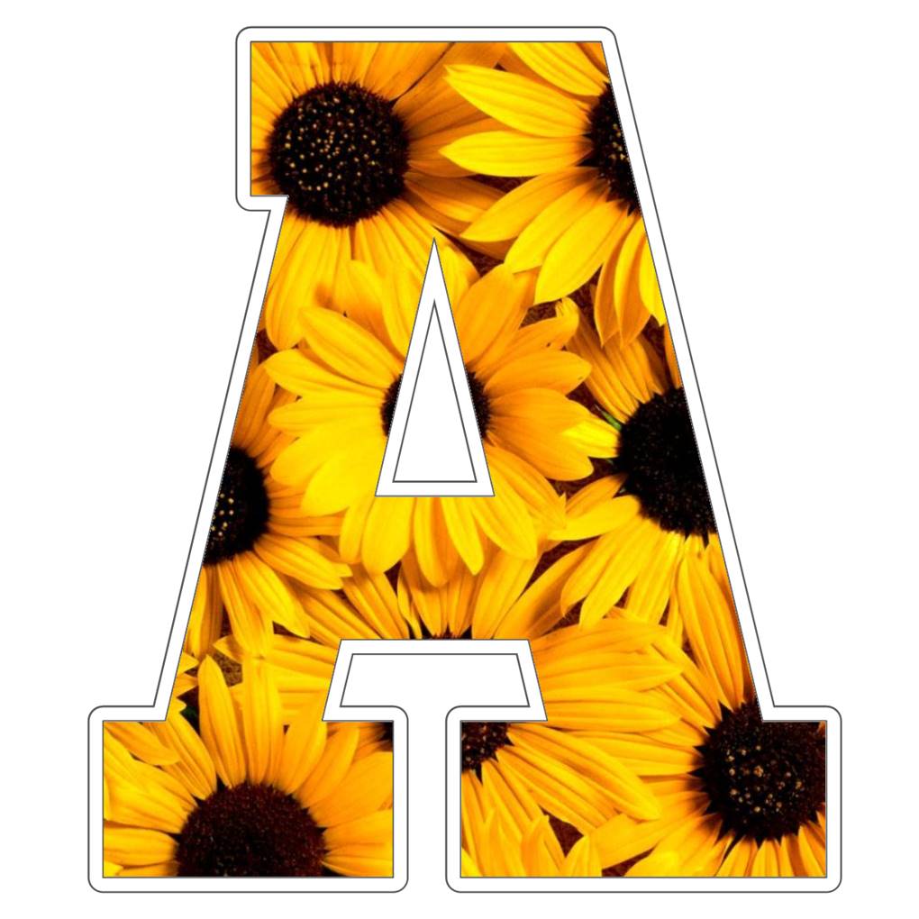 alaa amy tweet media