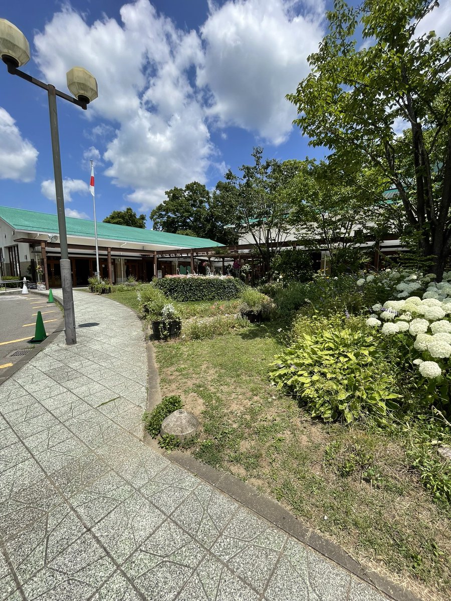 kao4718's tweet photo. 今日は秋保温泉にある磊々峡に行きました。仙台駅からバスで50分、新緑が眩しく遊歩道の散策にはぴったりのお天気でした。温泉には泊まらなかったけれど、足湯もあったりちょっと温泉気分も味わえます。秋保・里センターの入り口の花がいかにも初夏らしい咲き方でした https://t.co/uQk4uMAQ5V