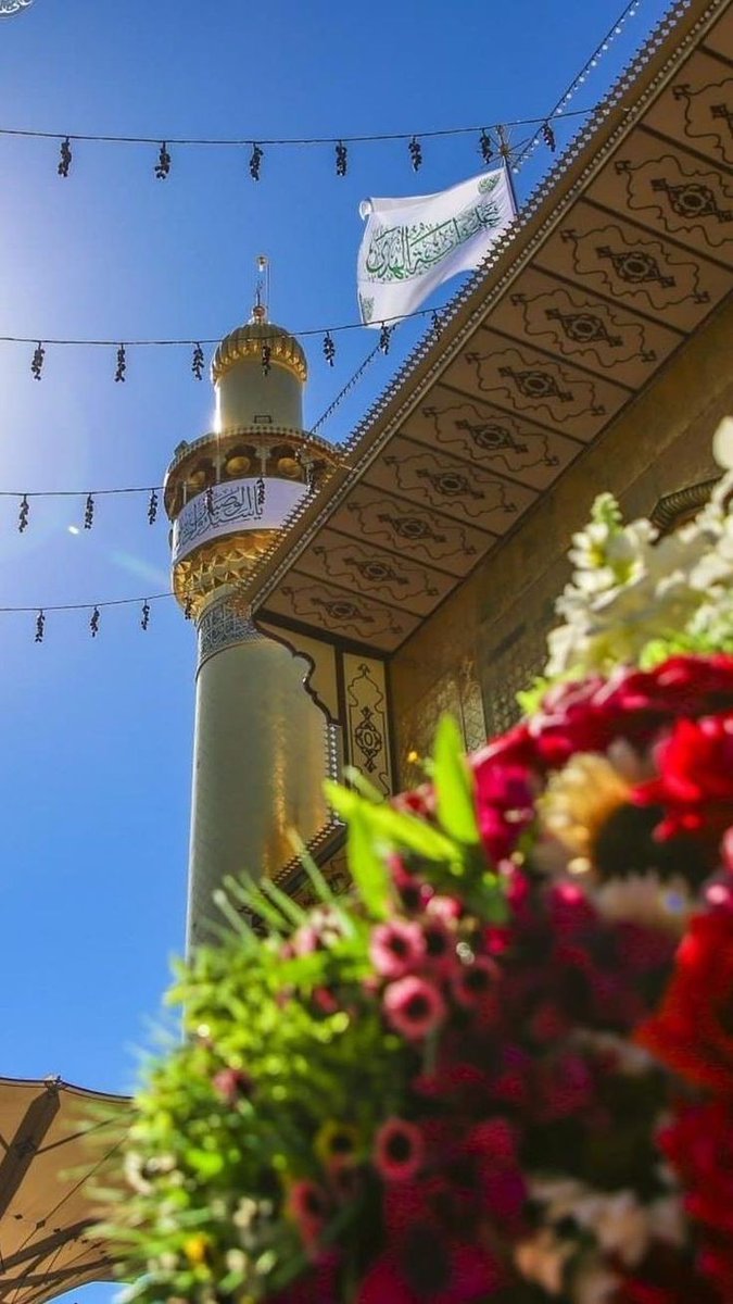 سیده‌زینب tweet media