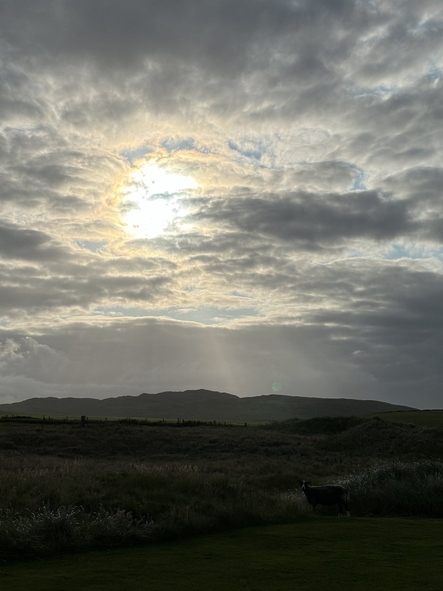 nice_stuart's tweet image. Early Morning vibes @MachDunes 🏴󠁧󠁢󠁳󠁣󠁴󠁿🏌️‍♂️👍