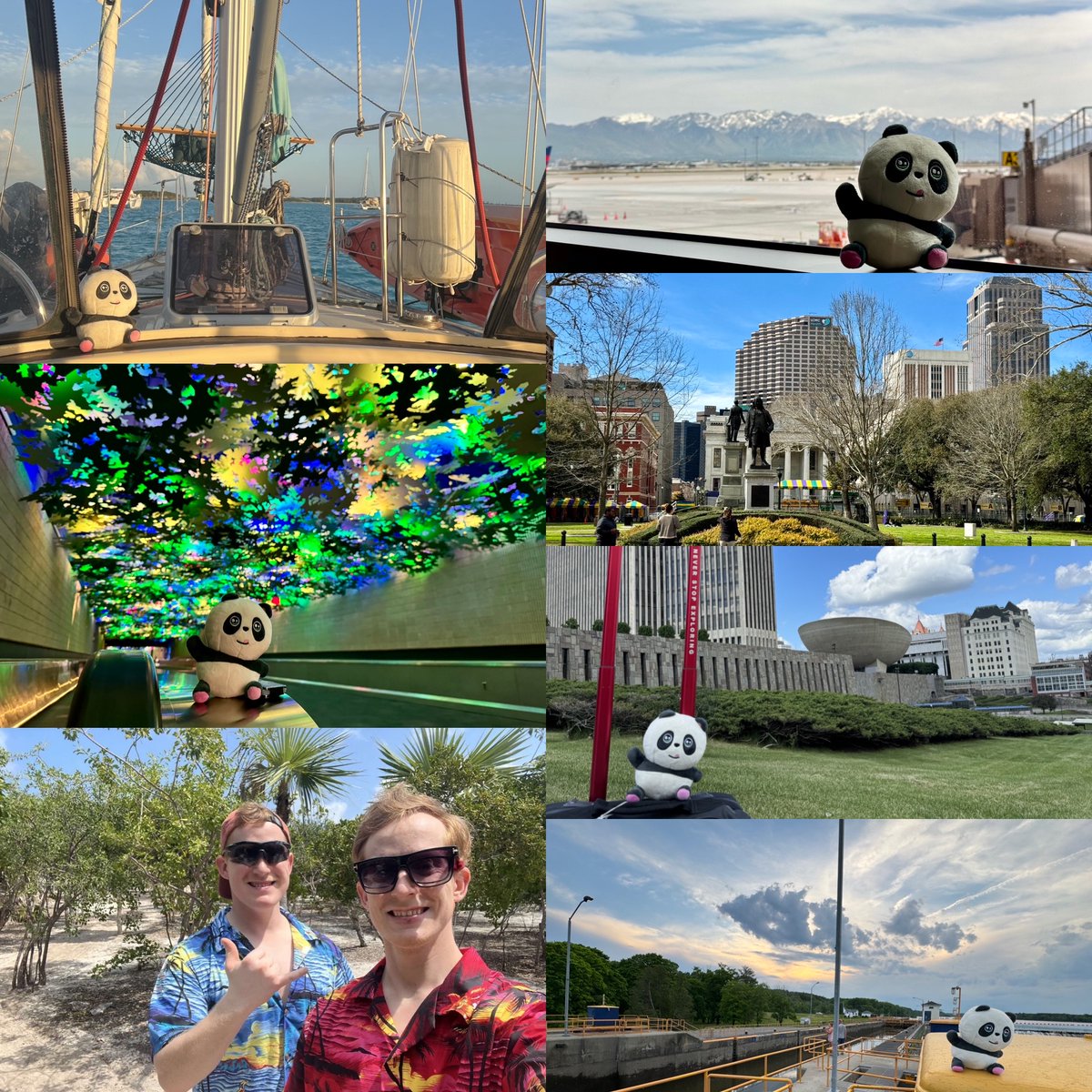 From our very own PANDA FAM member @DanMcCo64237702 on his PandaMania travels - 

"Some people have a travel sign, some  a travel companion. I bring you…travel Panda! Bahamas Panda care of my Nephews), (Salt Lake Panda), (Atlanta Panda), (Albany Panda)and currently Empire State