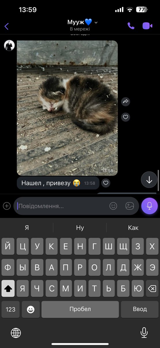 chehosh's tweet photo. @CockroachEro Муж нашел на работе вот это чудо, назвали Соней. Кормили, грели, но у нее были раны на задних лапках, началась инфекция и они опухли. Лечили, но все таки она умерла, слишком маленькая была, прожила неделю где-то… https://t.co/1NkxWXLmrK