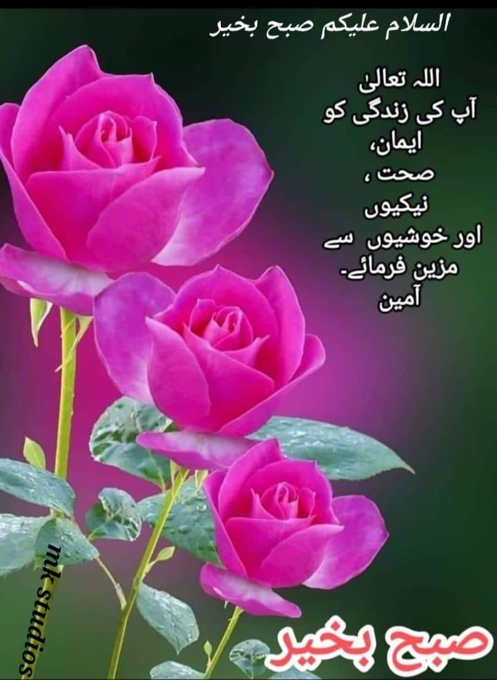 NRL_PWA's tweet photo. @EobiEpwa @azfar200 https://t.co/mYRG8yv3cp