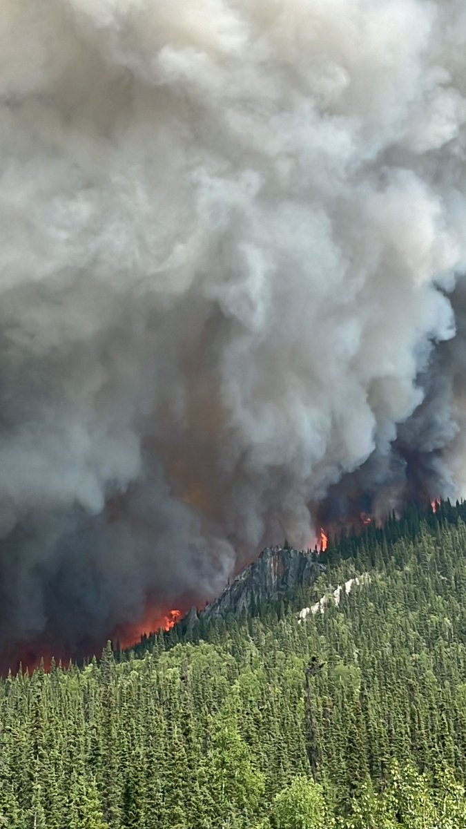 BLM_AFS's tweet photo. For a 2nd day, smoke hampered aerial support for firefighters working to protect properties along the Elliott Hwy from the #GlobeFire. 
Read more at https://t.co/rJe21fCyyN

📸 6/24 BLM AFS photo https://t.co/kxnNmEH3vE