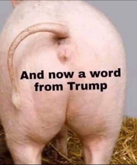 <a href="/Acyn/">Acyn</a>