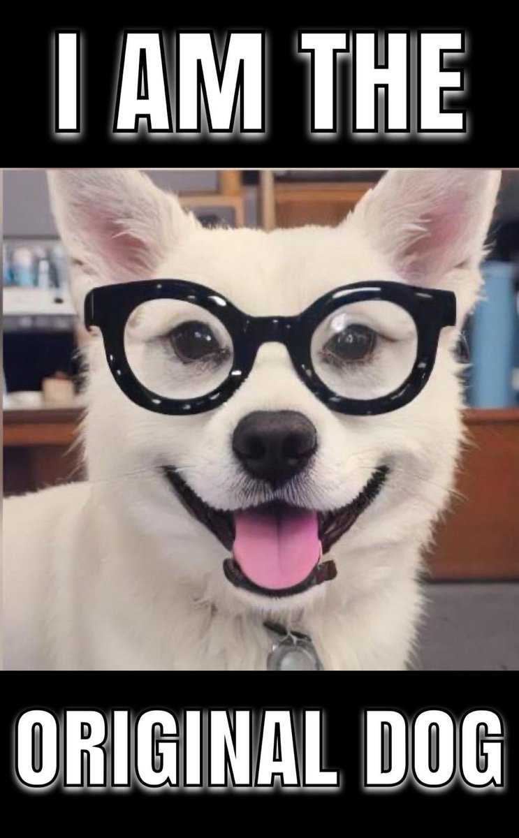 Hi Everyone, we are back. We have created a new telegram channel. Please join us and support our project 

t.me/+GoBYqe9HdIczO…