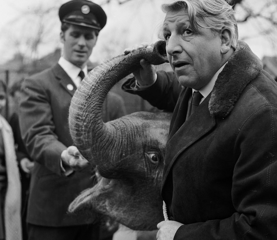 Do you remember Animal Magic?