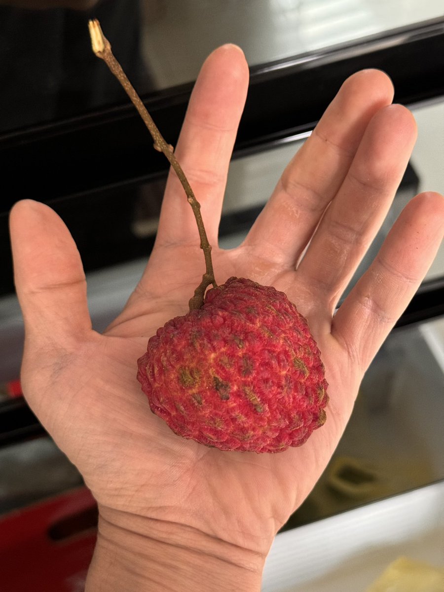 盾牌牙醫史書華 tweet media