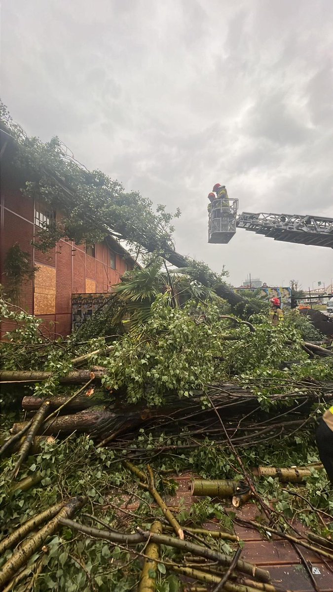 ‼️Ostatniej doby w związku z przejściem frontu burzowego⛈️💦💨 nad terenem <a href="/gdansk/">Miasto Gdańsk</a> , odnotowaliśmy łącznie ponad  8⃣0⃣interwencji.

Były to interwencje związane z:
▶️usuwaniem połamanych drzew i gałęzi, 
▶️usuwaniem lokalnych podtopień, 

Nie odnotowaliśmy osób poszkodowanych.