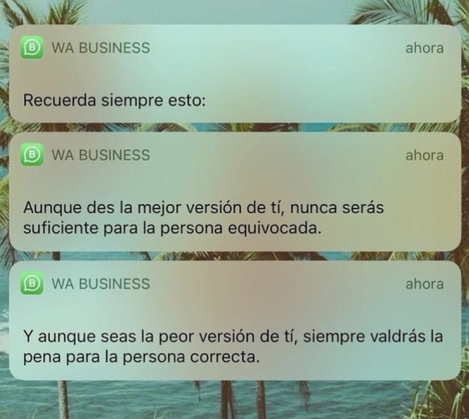 INDI-GENTE tweet media