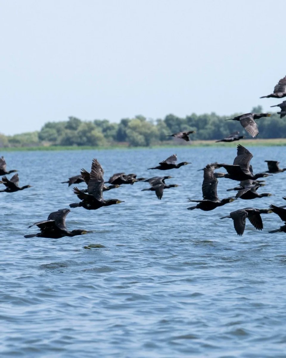 Ministry of Environment - Romania tweet media