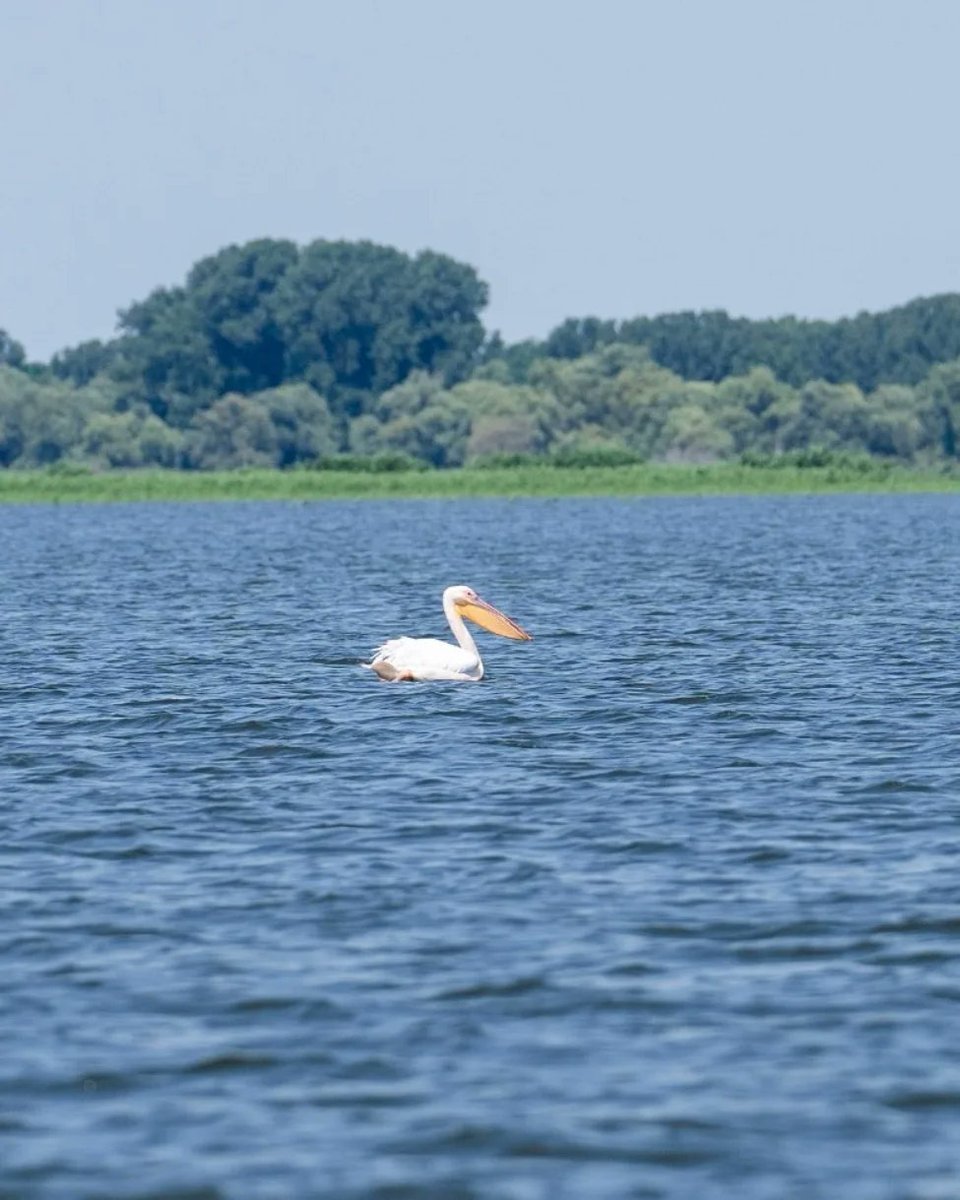 Ministry of Environment - Romania tweet media