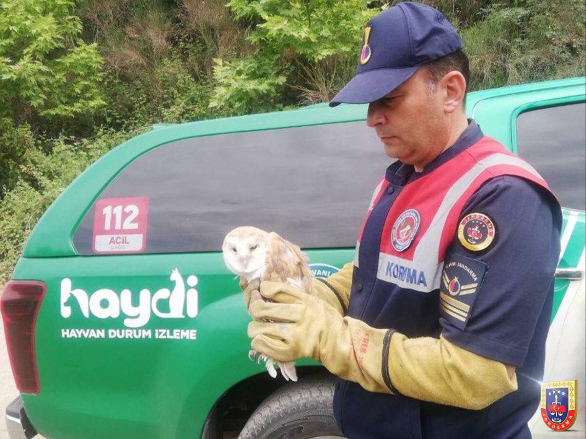 Doğadaki dostlarımız için görev başındayız😊

📍Ağrı, Bursa, Kastamonu, Kırşehir, Malatya, Şanlıurfa
#Jandarma
#HAYDİ