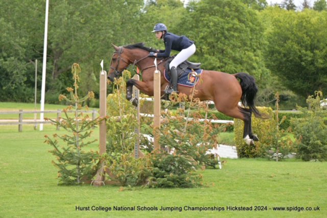 Manor House tweet media