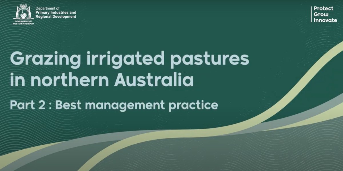 FutureBeef's tweet photo. Did you know? @DPIRDbroadacre recently created a 3-part series with Dr Kevin Bell (from #PardooWagyu) and Carla Milazzo (#DPIRD) on best management practice for irrigation.
You can watch the full version of Part 2: Best management practice here 👉 https://t.co/bh9KWBCH4c https://t.co/SYq5rQfZPy