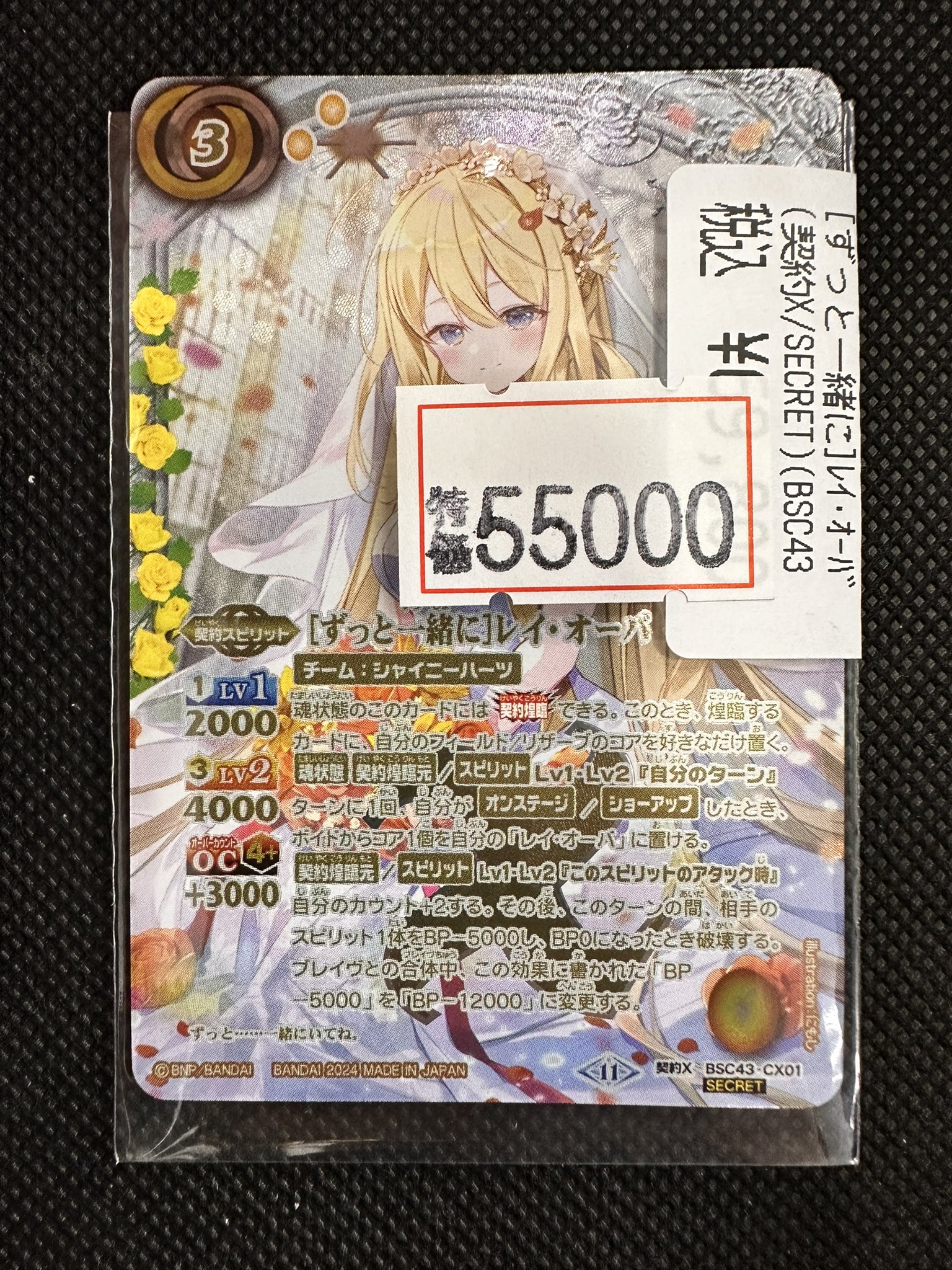 2024/11)(SECRET)［ずっと一緒に］レイ・オーバ【契約X-SEC