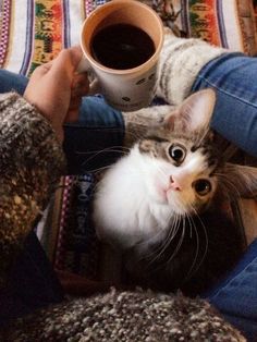 Alexa33370781's tweet photo. ❤️😍A beautiful weekend to everyone😍❤️
@kristidkerr2 @MariePechova4 @cesc18121 
@CassidyLoup @glocarrero @BarkleytheTzu 
@Bebekosako @sasharoiz @Cees22331 
@cristelAng @Coralie62320 @pilitf https://t.co/GFiSMhCfpN