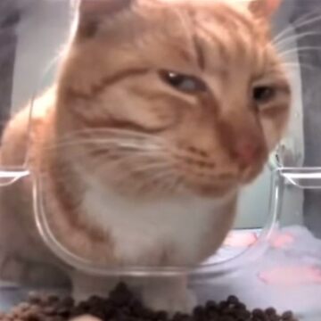 jasper🙀 tweet media