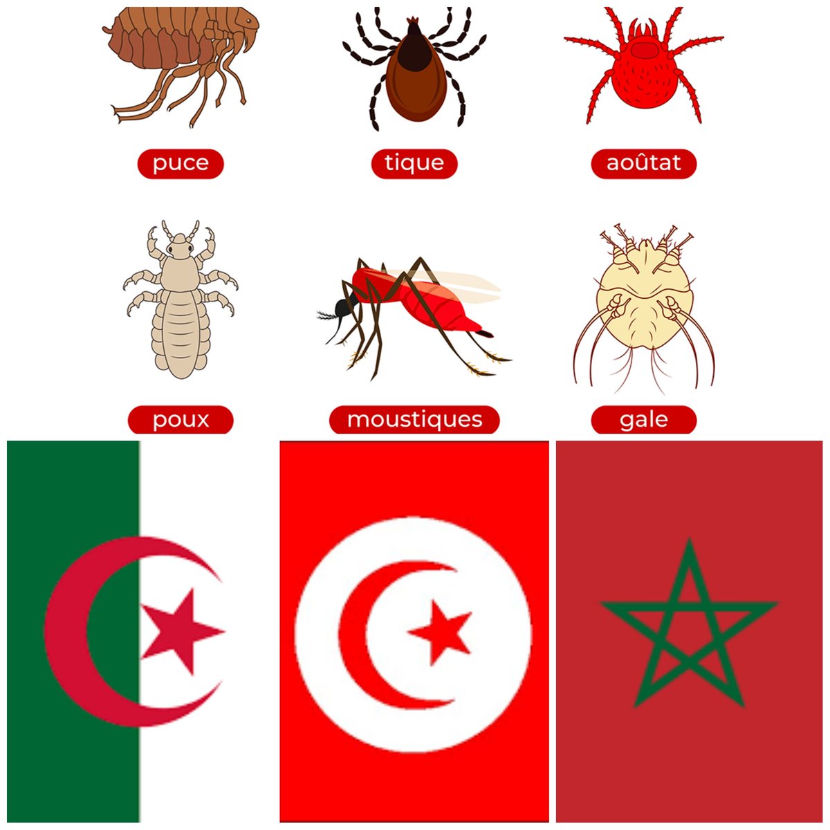 LeSpartiate2b's tweet photo. @avnersolal @J_Bardella Attention aux parasites https://t.co/aLlvzY7eDt