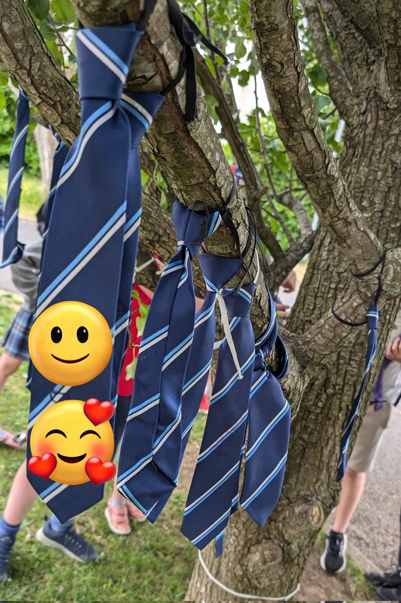 Michael Ryan tweet media