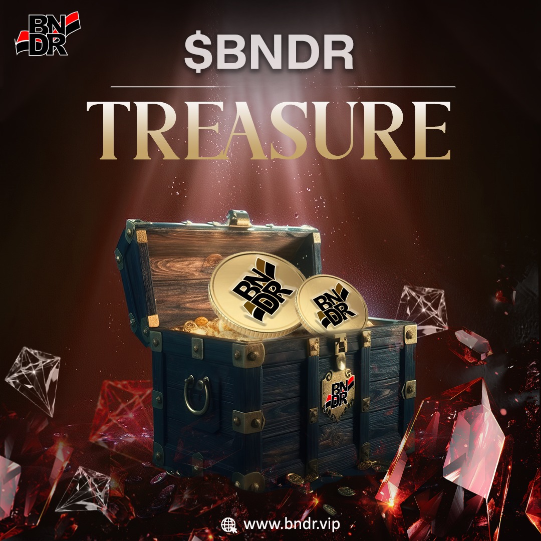 BNDR Coin tweet media