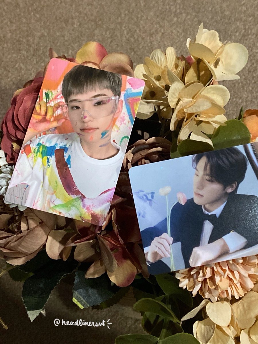 headlinersvt's tweet photo. ꒰ 📦 #aiarrival ꒱ ´ˎ˗

•— hoshi &amp; dino have arrived safely 🐯🦖

• — thank you so much, @rkw0nz, for this ga!

↷ #rkw0nzfeedie https://t.co/FyeBx9HMzq