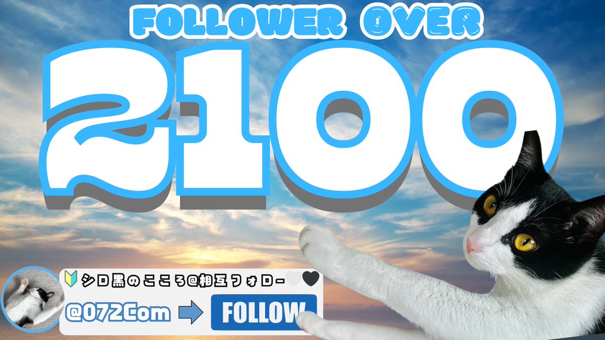 🐑🐇🤍フォロワー様2,100人突破🐁🥼🏳️

こんなに早く達成できるなんて思ってませんでした🩵
これも #憩いの泉🦄 メンバーの皆さんや相互様たちのお陰です
いつも交流くださる方はリポスト♻️させてもらってます💁
新しく #相互フォロー になった方どんどん交流しましょ💬✨

🔥<a href="/072Com/">🔰シロ黒のこころ@相互フォロー🤍🖤</a> ←ﾌｫﾛｰ!!!