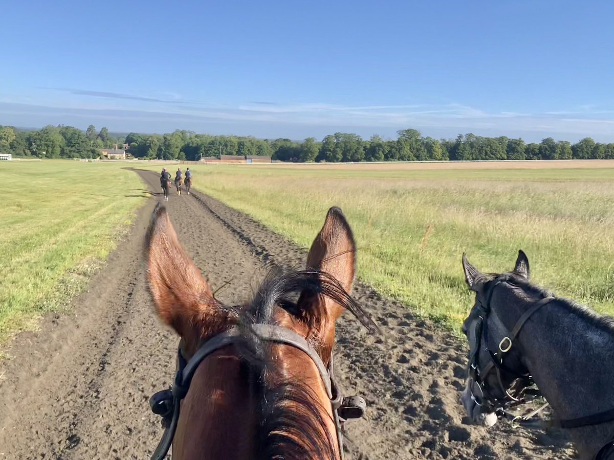 JohnWathenBerry's tweet photo. A lovely Saturday morning in Newmarket. Cooler last night, 10 degrees, but sunny & still so it’s warming up nicely. Currently 15, forecast high 22 #FlyingStar #RinjaniBay #Eljaytee https://t.co/vEyuO76mZl