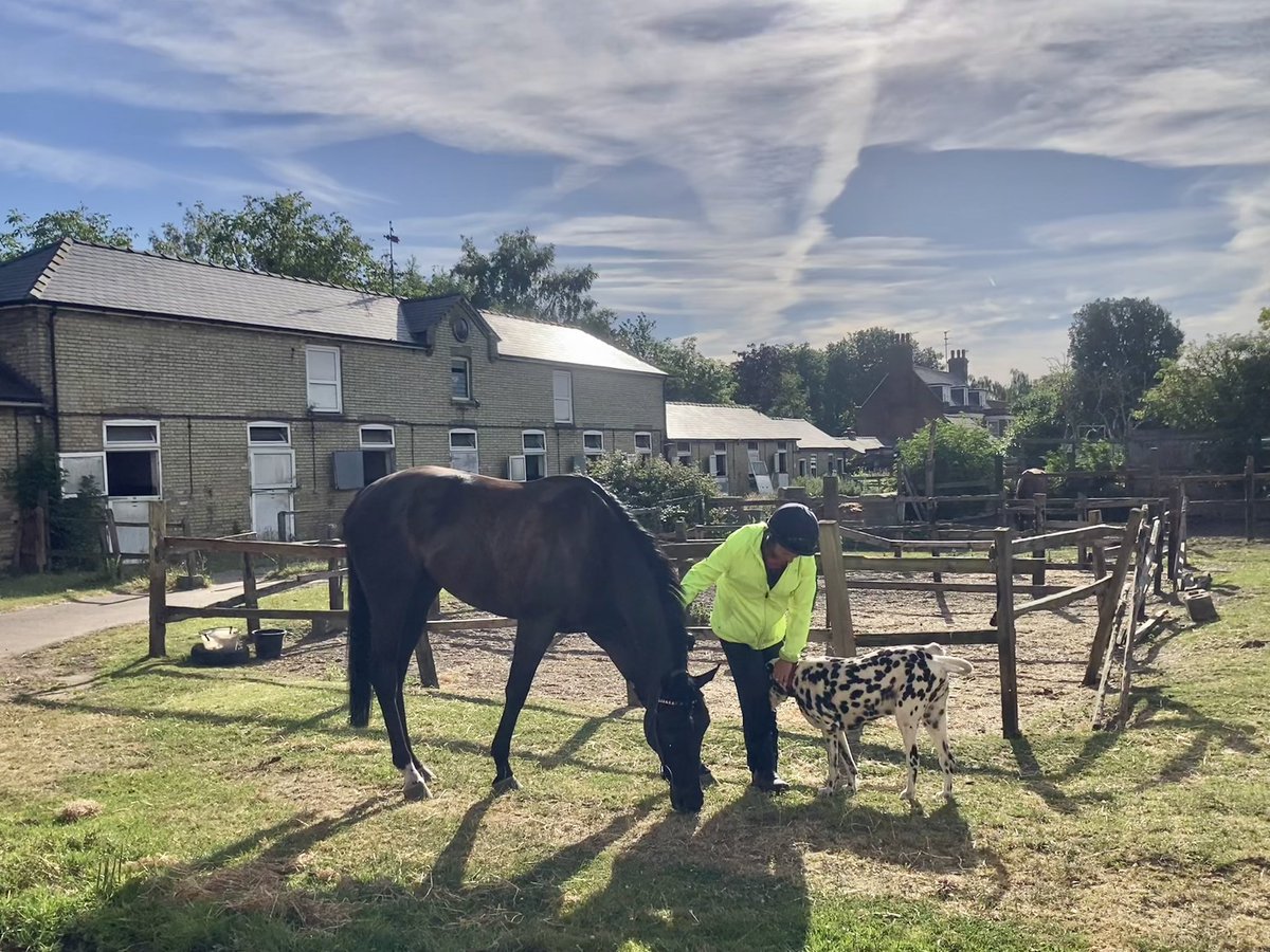 JohnWathenBerry's tweet photo. A lovely Saturday morning in Newmarket. Cooler last night, 10 degrees, but sunny & still so it’s warming up nicely. Currently 15, forecast high 22 #FlyingStar #RinjaniBay #Eljaytee https://t.co/vEyuO76mZl