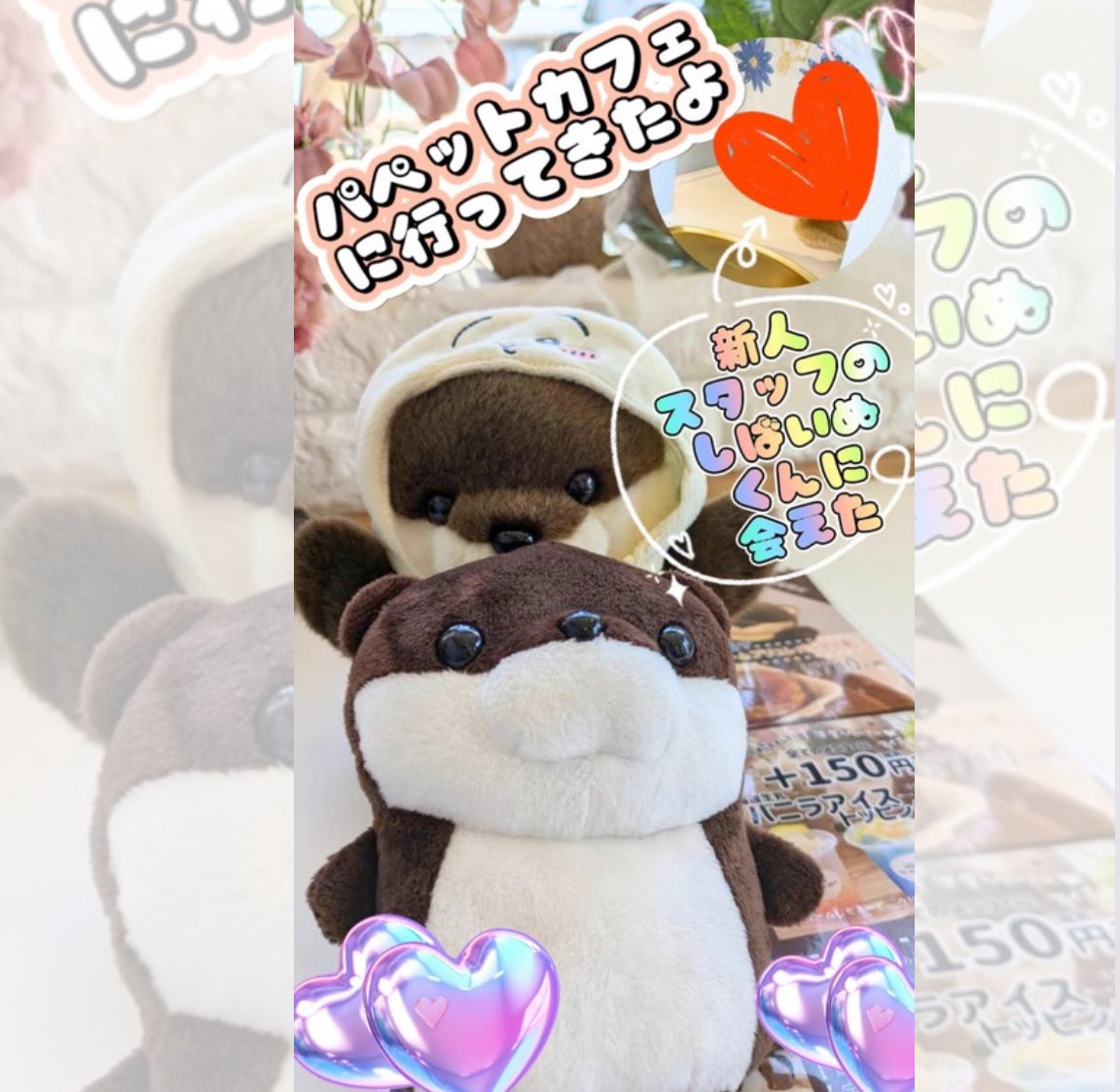 Lushie7777's tweet photo. パペットカフェ♪GO WITH ME!!♪に行ってきたよ！新人スタッフくんに会えたよ！ #パペット #カワウソくん #GOWITHME #フロート #柴犬 #ぬいぐるみ #三条市
https://t.co/hTP47tsxYl https://t.co/KriaPEvpvc