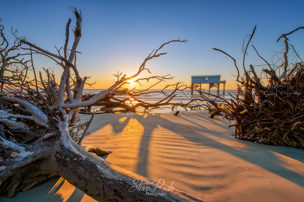 SteveRich_Photo's tweet image. Sunrise on Hunting Island South Carolina
3-steve-rich.pixels.com/featured/littl…
#HuntingIslandMagic #LittleBlue #HuntingIsland #SouthCarolina #CottageLife #Resilience #HurricaneMatthew #BarrierIsland #StatePark #ScenicViews #ExploreSC #BeachParadise #IslandLife #NatureBeauty  #CoastalCarolina
