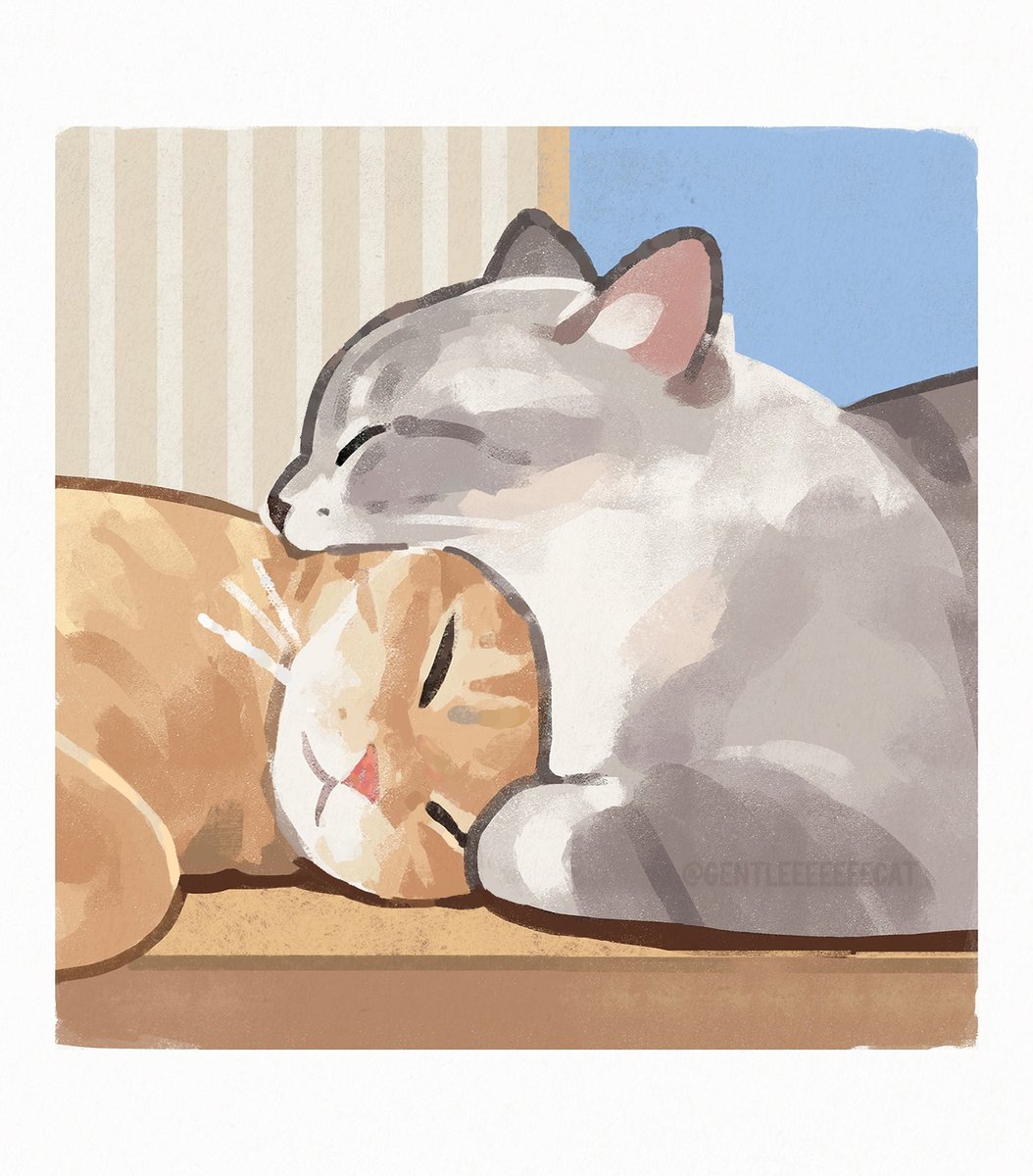 gentleeeeeeecat's tweet photo. https://t.co/ZqA6qYcN29