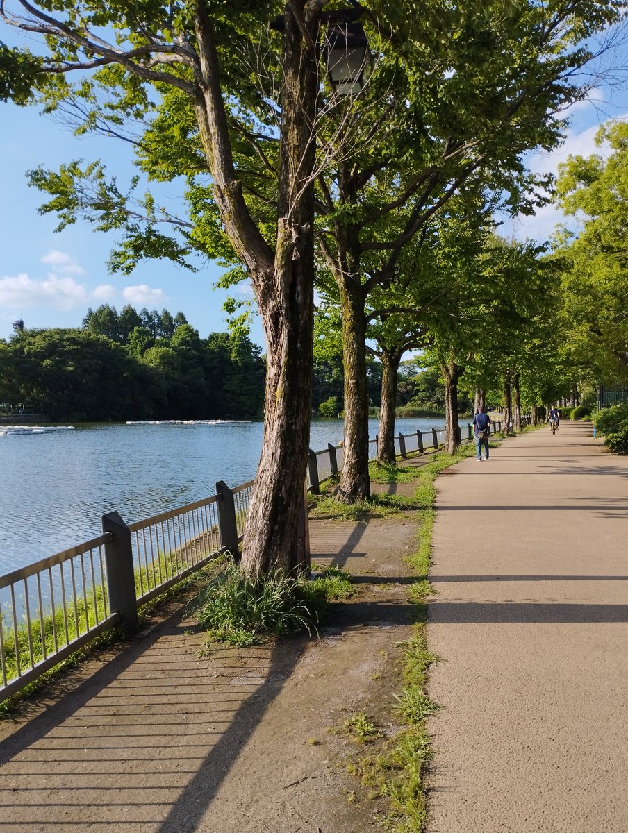 doinichan's tweet photo. ここ浮間公園は子供の頃よく釣りに来たところです。
今晩育った街川口で中学の友人達と飲み会なのでついでに遊びにきました。
埼京線と新幹線までできてずいぶん変わりましたね。 https://t.co/z09XLc1EEh