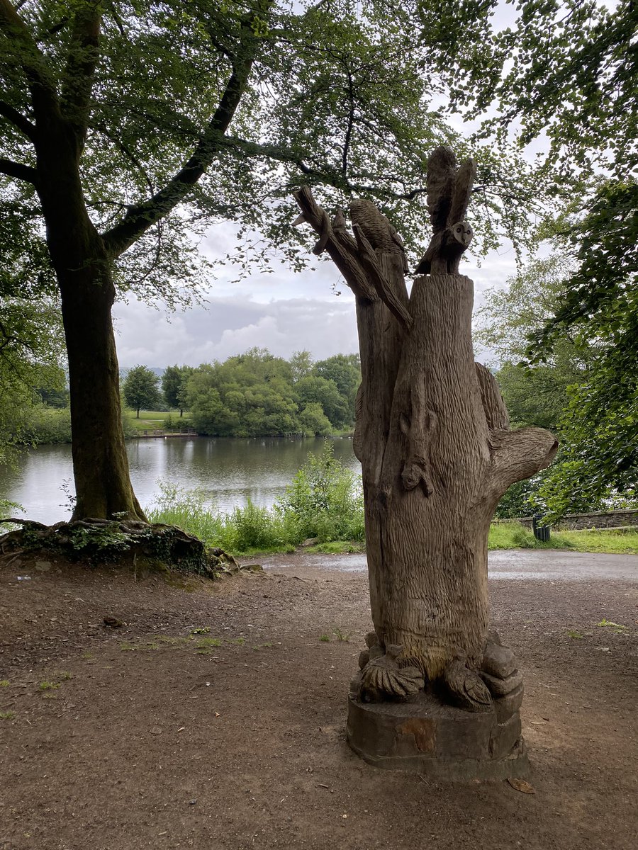 Owen Staton tweet media