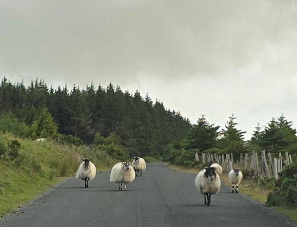 MrsFitz09's tweet image. On my drive to work yesterday morning! Not a care in the world!!