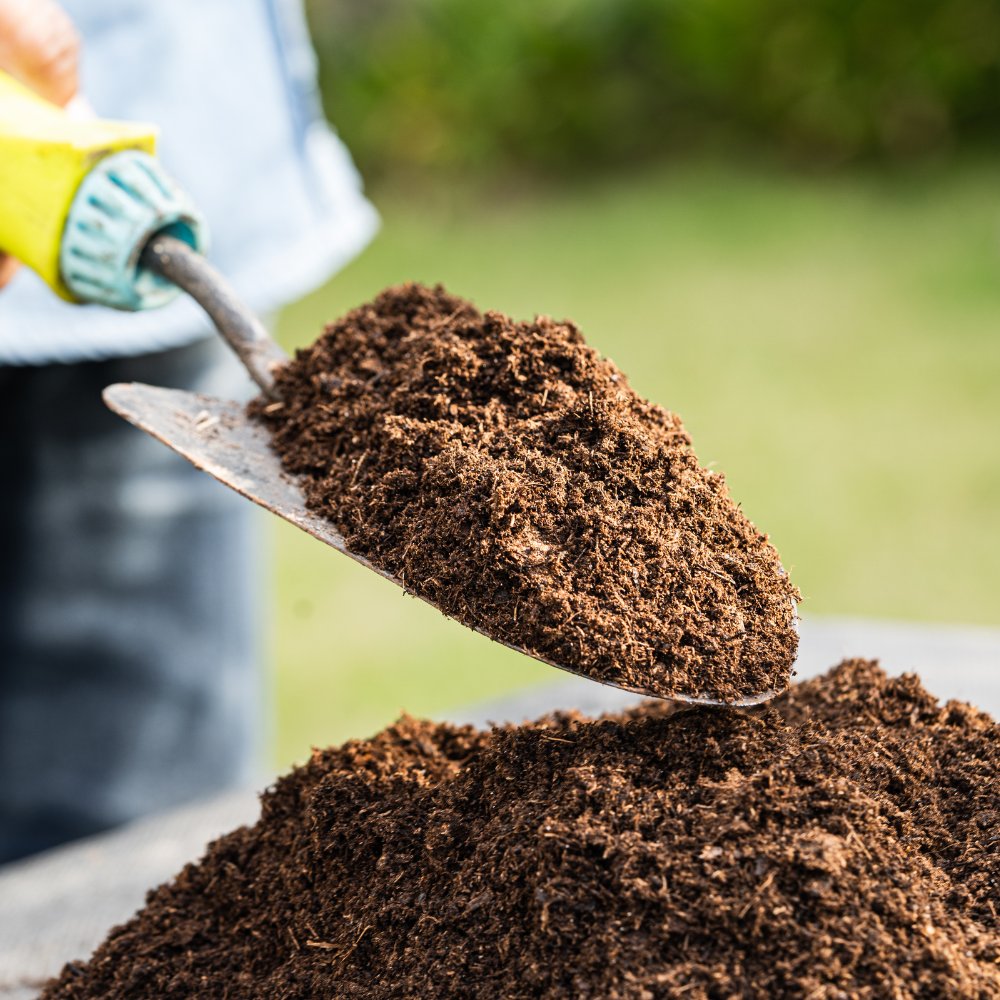 The Real Soil Company tweet media