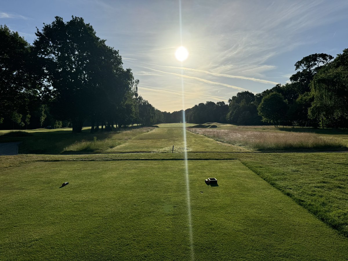 Wayne Aris tweet media