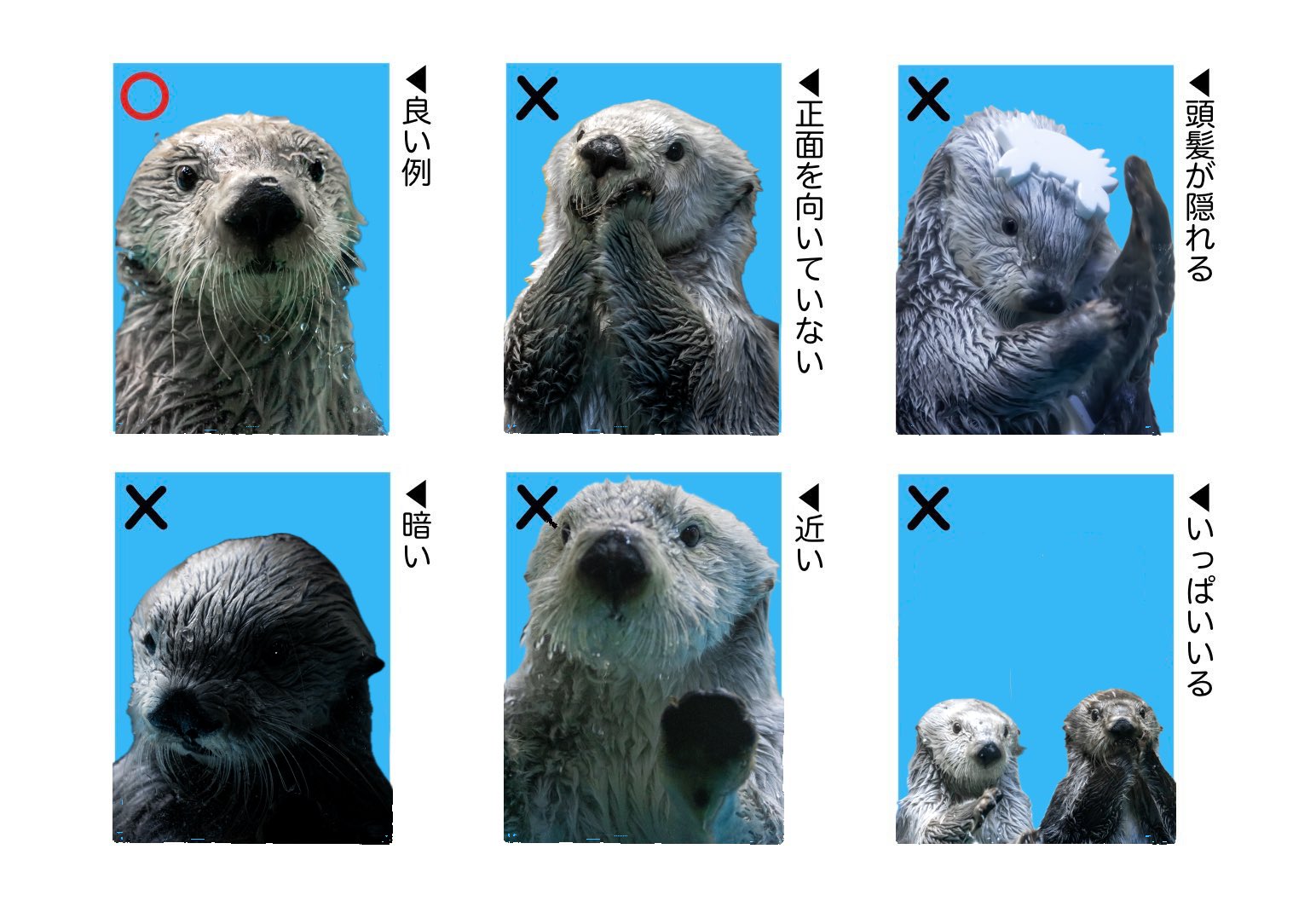 zocx 証明写真 About | Zhejiang ZhengSheng Shock Absober Co., Ltd