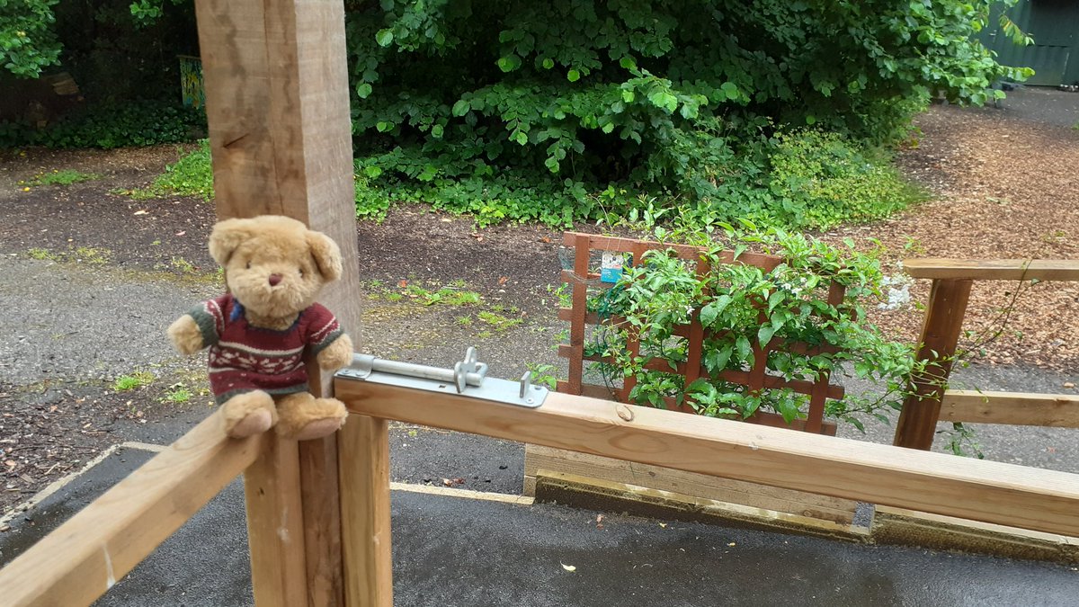 RepairBear tweet media