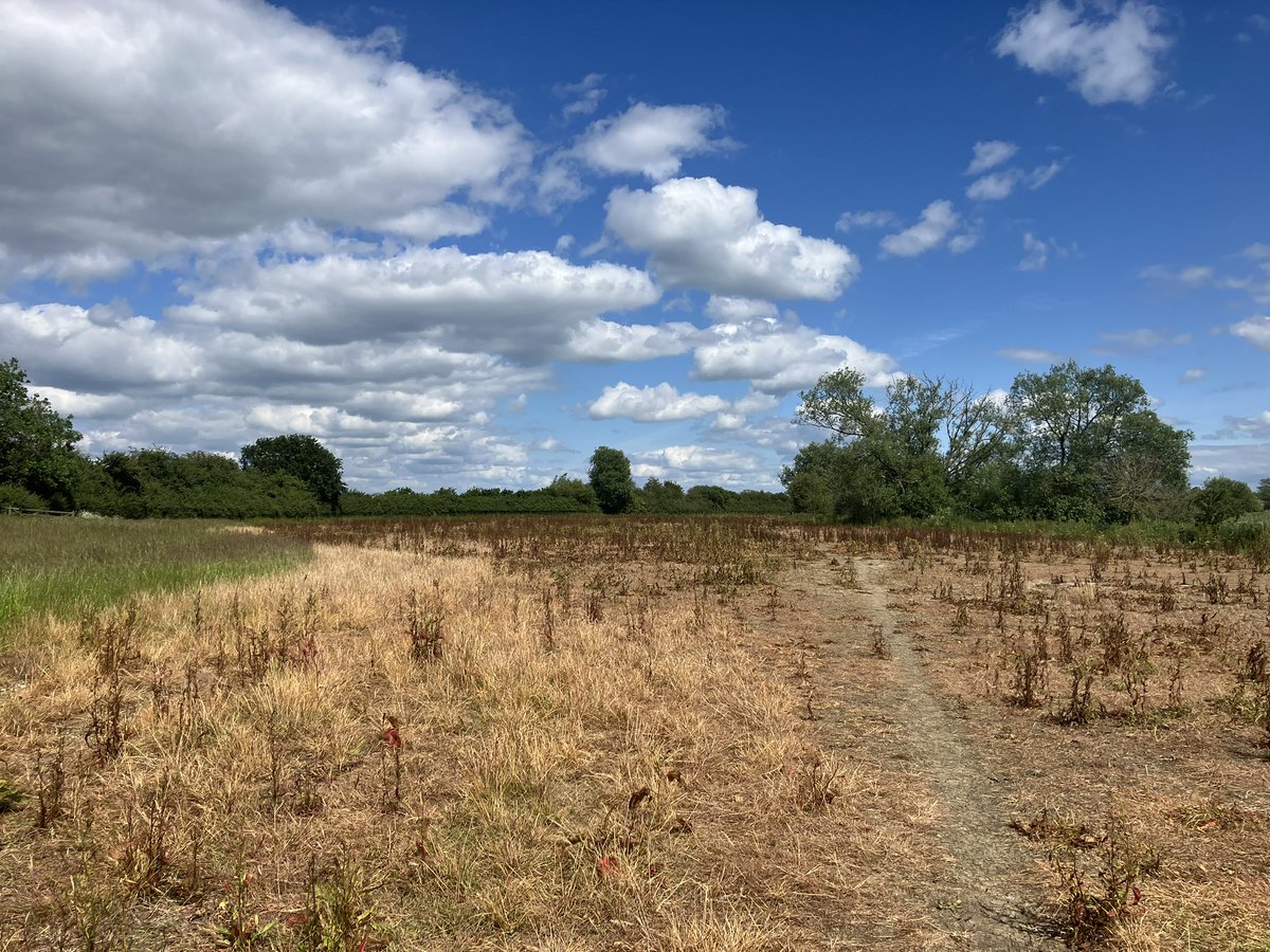 dmsmiff's tweet photo. @ThamesPathNT @suzirowcliffe @NationalTrails @NatTrailsUK @RamblersGB @RiverThames @MyMarlowUK 3 weeks ago we walked from Cricklade to Hannington Bridge. Great weather. Today sees our 3rd leg of our source to sea walk, from Hannington Bridge to Buscot. Looks like the weather will be kind to us again. https://t.co/Cm9CL88Ga8