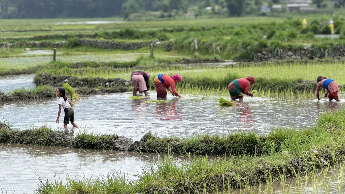 gitakandel6's tweet image. ajaa ko दिन