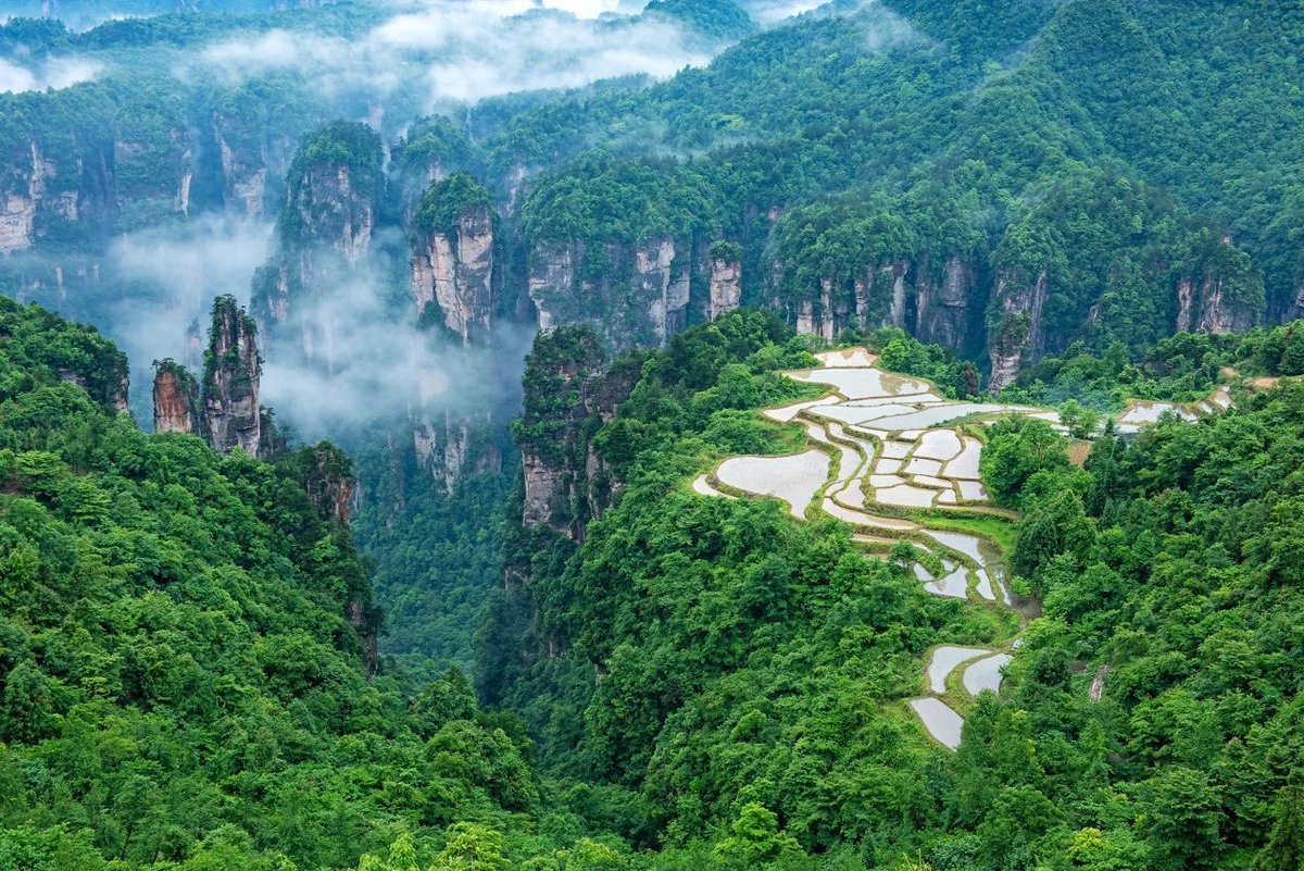 Beautiful scenery of Zhangjiajie