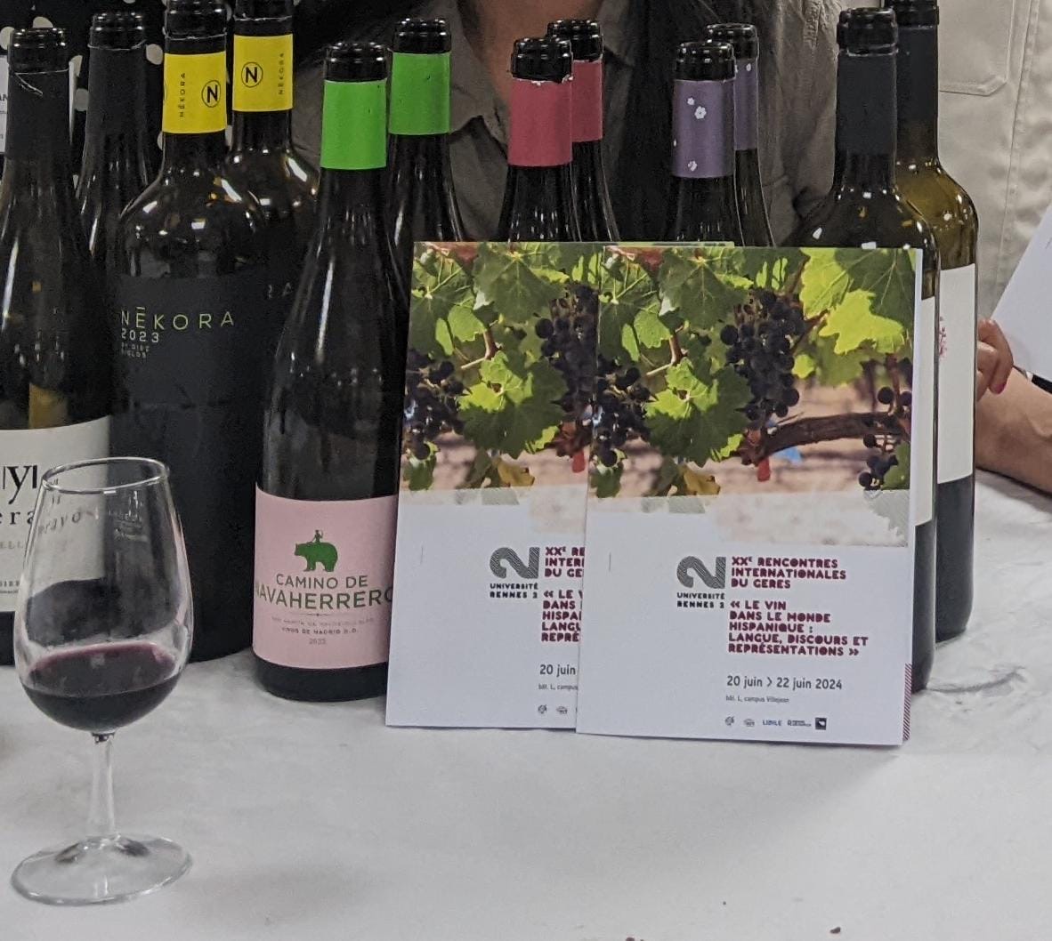 Agradecemos tanto al público presente como a los ponentes y conferenciantes invitados por la calidad del encuentro organizado por las colegas de los laboratorios ERIMIT y LIDILE de la Université Rennes 2. 
¡Nos vemos en Lyon el año que viene!