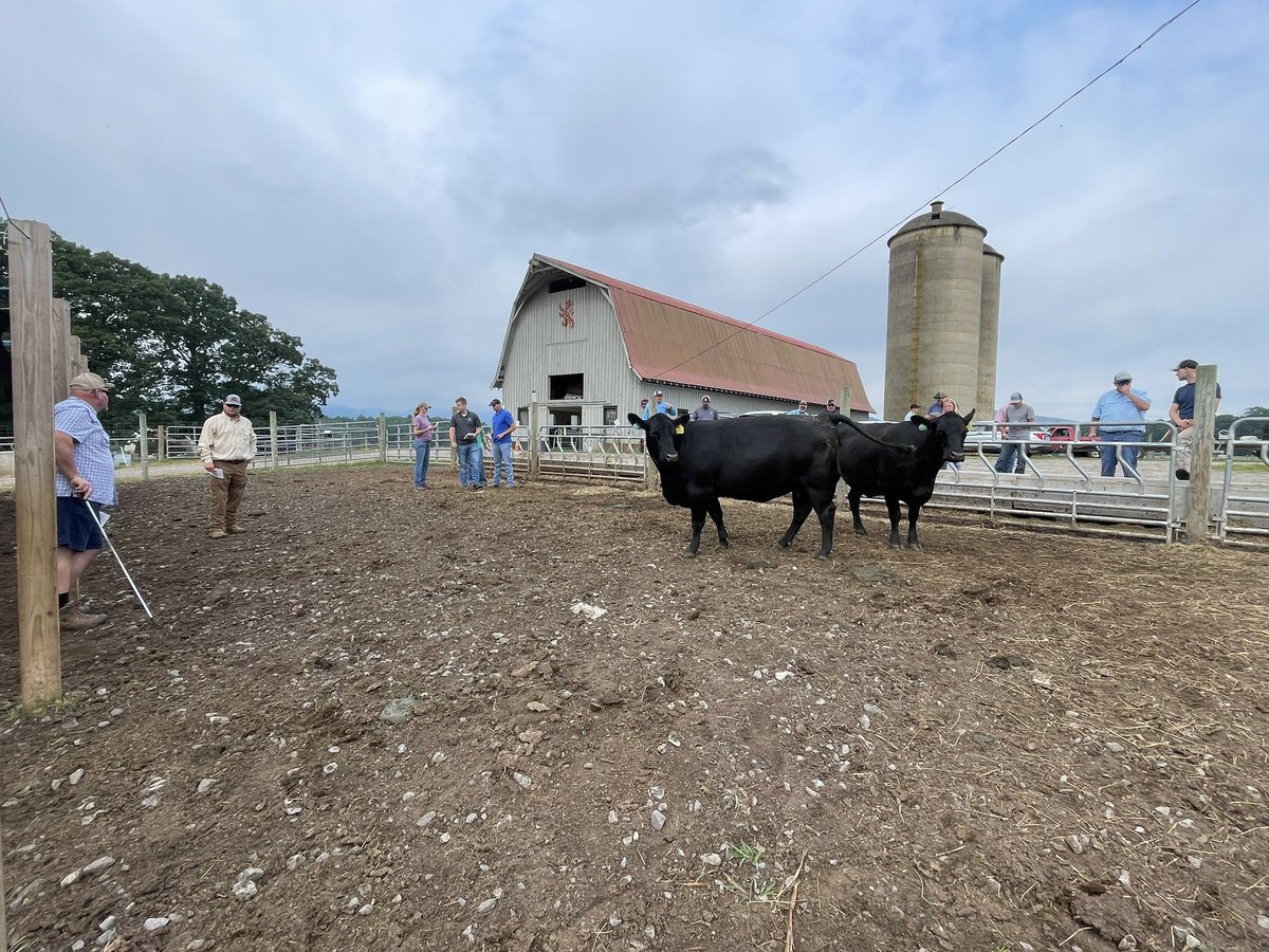 MiloYields's tweet image. The Biltmore Asheville North Carolina