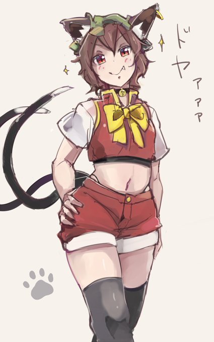 ドヤ成長期ちぇんちゃん🐱 