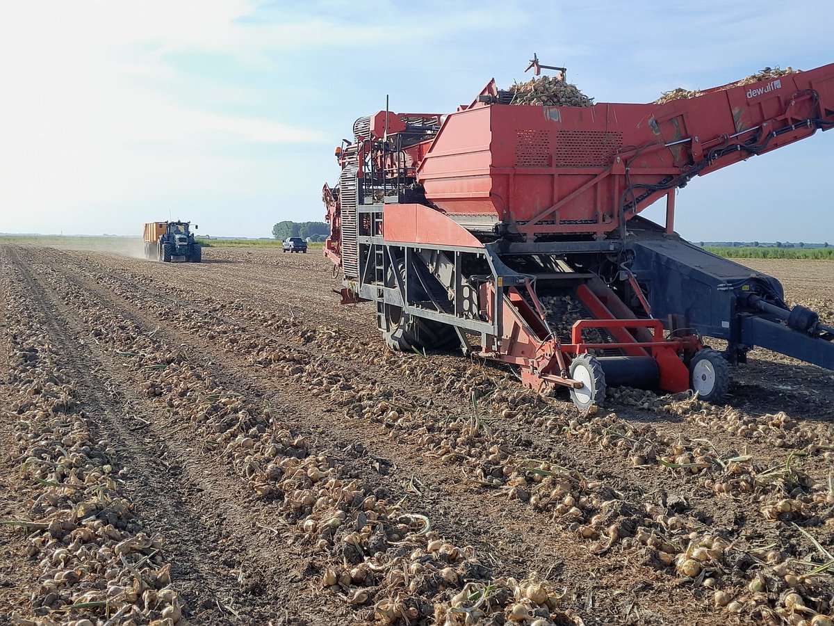 Michael Schippers tweet media