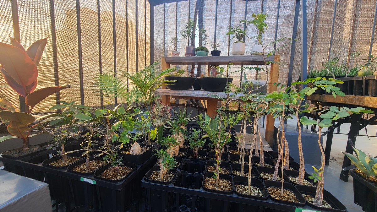 ここに座ってタバコ吸ってる時か一番幸せ🚬