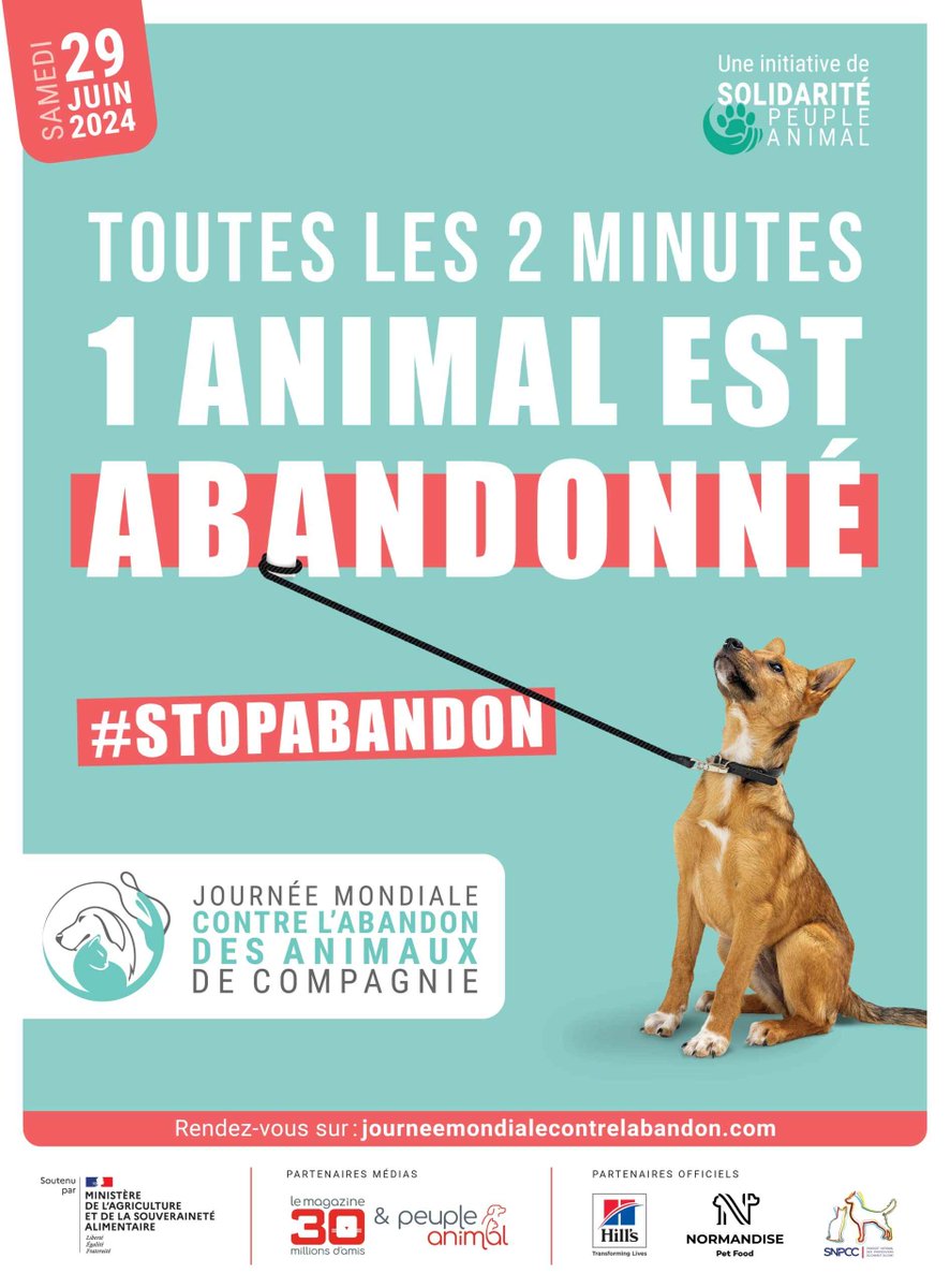 En ce 29 juin, c'est la Journée mondiale contre l'abandon des animaux de compagnie. 🐶🐱🐰
Même s'il est difficile de savoir précisément au niveau national, l'abandon reste un fléau en hausse. 📈
Soutenez vos refuges de proximité en faisant un don :
defensedelanimal.fr/refuge/
