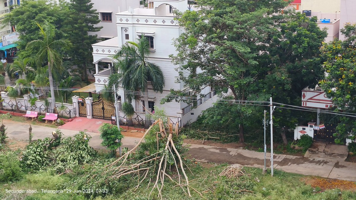 NGOKYR's tweet photo. Many trees are slaughtered at PS RAO NAGAR, ROAD NO 9A, DAMMAIGUDA.  Already FRO KEESARA &amp; DRO Swung into action.

@TelanganaCMO 
@TelanganaCS 
@TelanganaForest 
@mc_dammaiguda 
@FRO_KEESARA https://t.co/HcJpN0YaXE