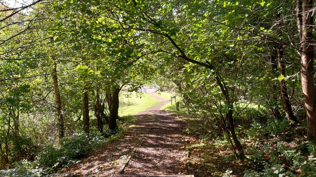SummerleeMuseum's tweet photo. Build your own den in the Summerlee Woods this summer. We'll provide equipment and tips to help you build the best den.

Dates available from 4 July to 9 August
11am - 1pm
£12 per group
Recommended for ages 5 years+

Book now: https://t.co/ZM6FAUQWw7

#SummerleeMuseum #FamilyFun https://t.co/9cwgSl2lPK